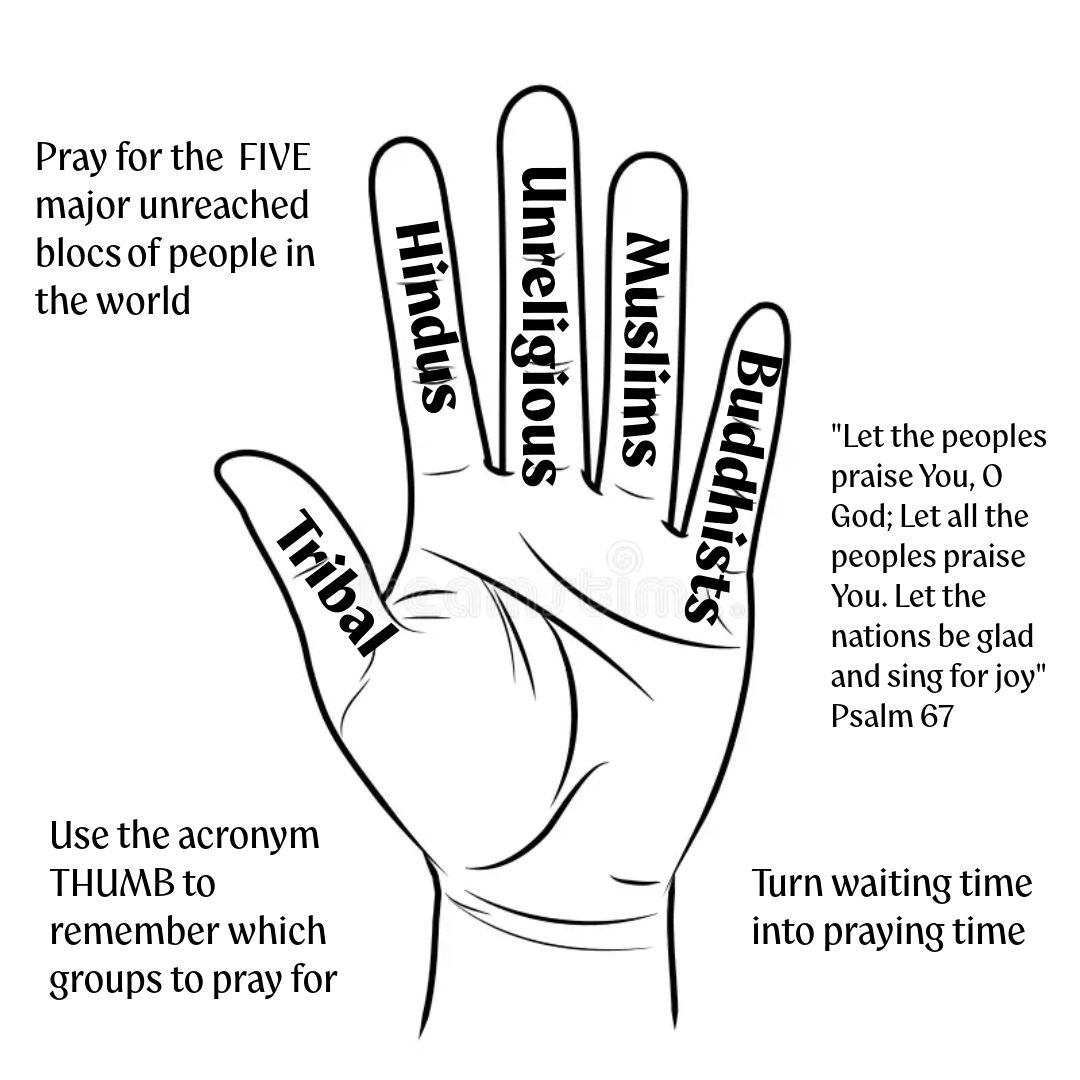 THUMB Image